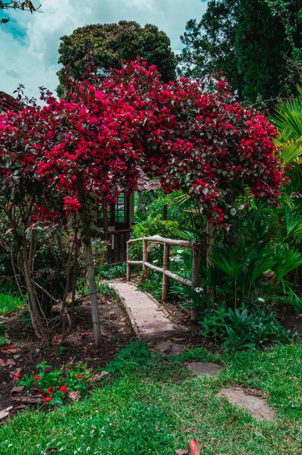 Hotel Casa De Nelly San Agustin  Luaran gambar